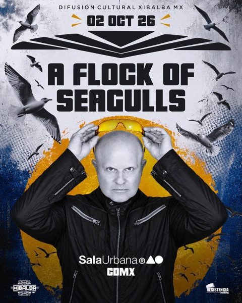 a_flock_of_seagulls